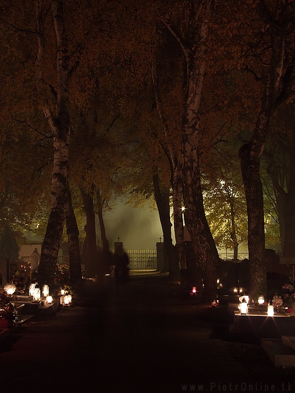 6334006843_26a7af718b_o