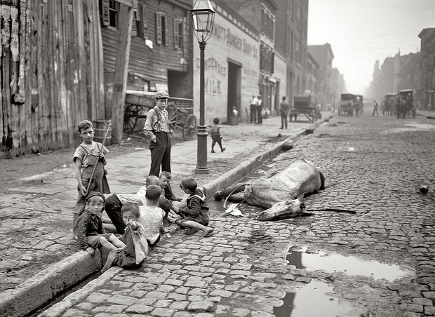 new-york-1895