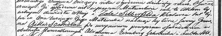 Fragment aktu urodzenia Gittli Sil...