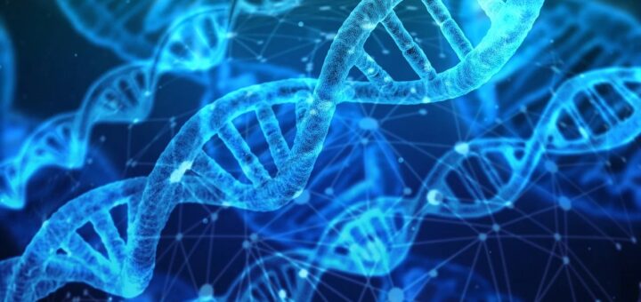 DNA